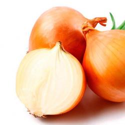 Project “What do we know about onions?