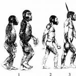Faza më e vjetër e historisë njerëzore