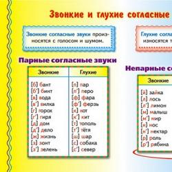 Paired and unpaired, voiced and voiceless, soft and hard consonant sounds in the Russian language Information about vowel sounds