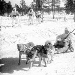 Në frontin Karelian Lituanezët në frontin Karelian 1941