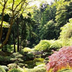 Japanese gardening art Abstract Characteristic features of Japanese gardening art