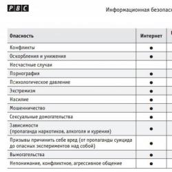 Proposals to the draft recommendations of parliamentary hearings in the Federation Council on the topic "Actual issues of ensuring the information security of children when using Internet resources Information security for